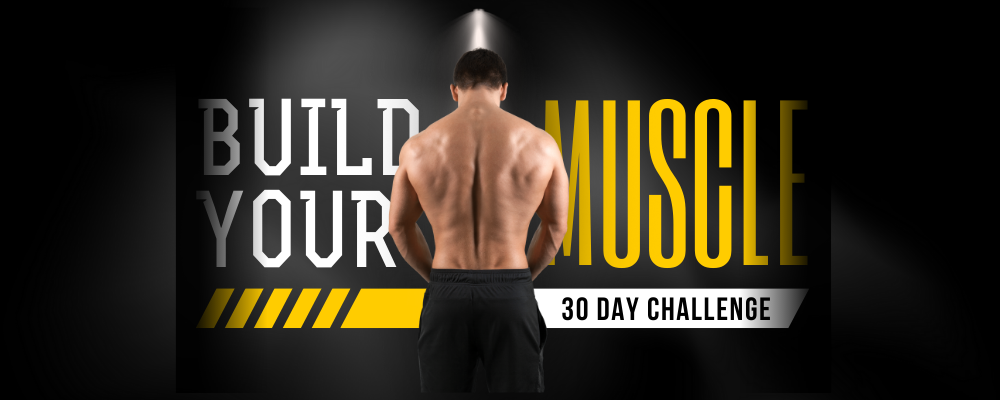 Build your Muscles HERE